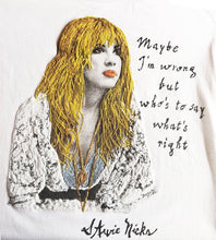 STEVIE NICKS T-shirt of Fleetwood Mac T shirt painted 3d - QuorArtisticTshirts